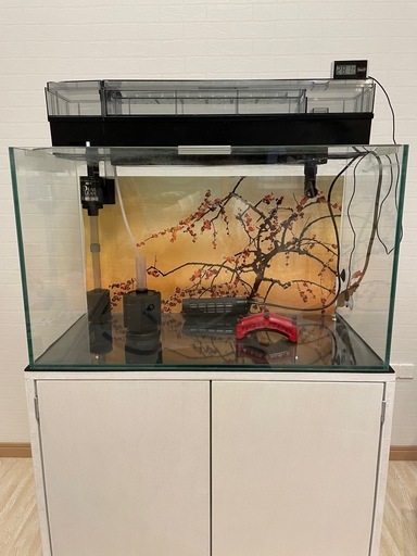 【60センチ水槽】※お得なセット内容