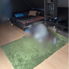 グリーン シャギーラグ