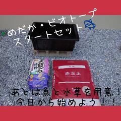 ☆即購入ＯＫ☆初回出品割中！めだか 金魚 ビオトープ スタートセット