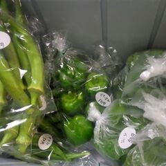 新鮮野菜コーナー8月12日の品出し予定です。