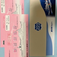 駿河湾フェリー乗船券2枚
