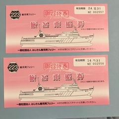 駿河湾フェリー乗船券2枚
の画像