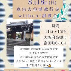 【保護猫の譲渡会】大阪府高槻市　8/18(日)