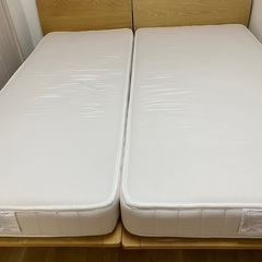 シングル➕スモール