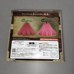 未開封　ワンピース 悪魔の実ルームライト-ウシウシの実 モデル“麒麟”(ジラフ)-の画像