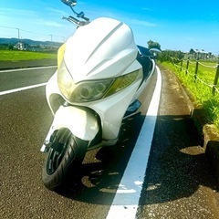 スズキ　スカイウェーブ　CJ43