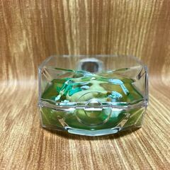 （中古）ポケットモンスター PETITE FFLEUR リーフィア 底部パーツ紛失の画像