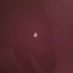 ヨギボーMAXの画像