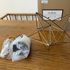 新品照明 E26 led 対応 ディスプレイ スチール レトロ 北欧の画像