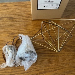 新品照明 E26 led 対応 ディスプレイ スチール レトロ 北欧の画像