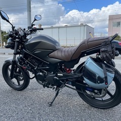 VTR250 SE (2017年式) *ETC付きの画像