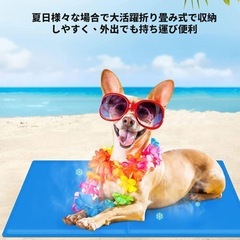 【新品未使用】ペット冷却マット　Mサイズ　40×50cm　ひんやりマット 接触冷感の画像