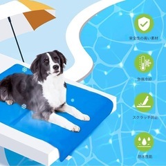【新品未使用】ペット冷却マット　Mサイズ　40×50cm　ひんやりマット 接触冷感の画像