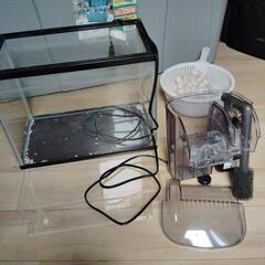金魚飼育セット