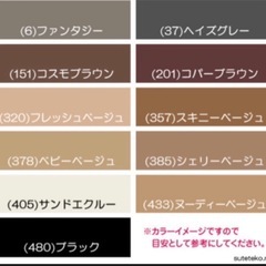 【新品未開封】ストッキング（サンドエクルー）各種の画像