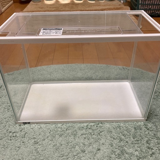 美品　水槽　ガラス　魚　金魚