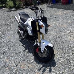 HONDA　ホンダ　グロム125　美車