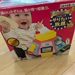 赤ちゃん用おもちゃ　やりたい放題