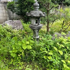 石燈籠、庭石の画像