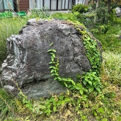石燈籠、庭石の画像