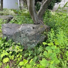 石燈籠、庭石の画像
