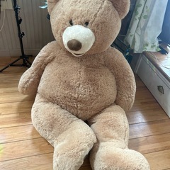 コストクマぬいぐるみ