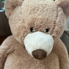 コストクマぬいぐるみの画像