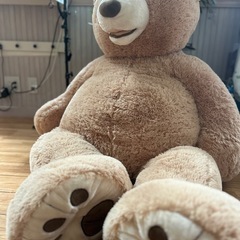 コストクマぬいぐるみの画像