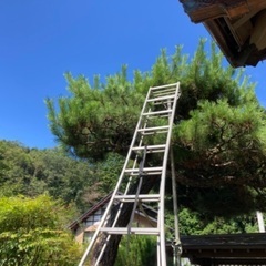 【終了しました】収掃の手伝いお願いします