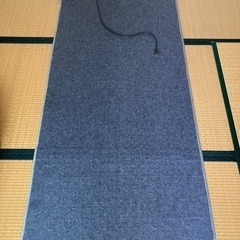 【お話中】ニトリ　ホットカーペット　サイズ1畳
