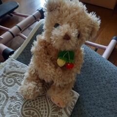 クマのぬいぐるみ