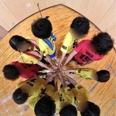 【大募集】一緒に男女混合バレーやりませんか？🏐 - スポーツ