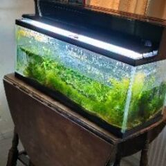 １２０センチ水槽＋水槽台