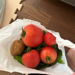 野菜組み合わせ1️⃣