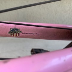 schwinn シュウィン　コースターブレーキ　シングル
の画像