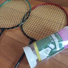 バトミントンセットの画像