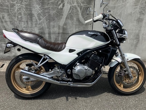 [取引中]バリオス　ブラックパール&ホワイト