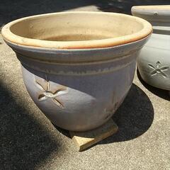 植木鉢の画像