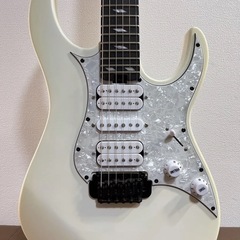 Legator（レガター）リバースヘッドギターの画像