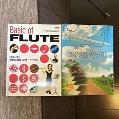 プラスチックフルートの画像