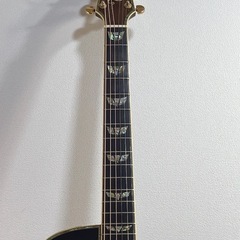 Takamine DSP532 VTS の画像