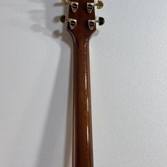 Takamine DSP532 VTS の画像