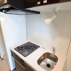 💕敷金ゼロ・礼金ゼロ・インターネット使用料ゼロ・仲介手数料ゼロ💕～築浅分譲マンション～ペット飼育可（大型犬・猫・多頭飼い可）～システムキッチンや温水洗浄便座など設備も充実したお部屋🎵 − 東京都