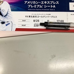 女の人希望、西武ドーム　チケット　8/25 日曜日17時　から　...