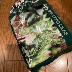鉢植え(ポンカン)と残土の画像