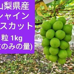 【農家直売】シャインマスカット 粒 1kg(粒のみの量)⑤