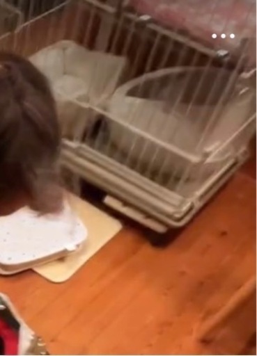 【美品】アイリスオーヤマ  猫 ケージ ウッディ  2段 ライトナチュラル 