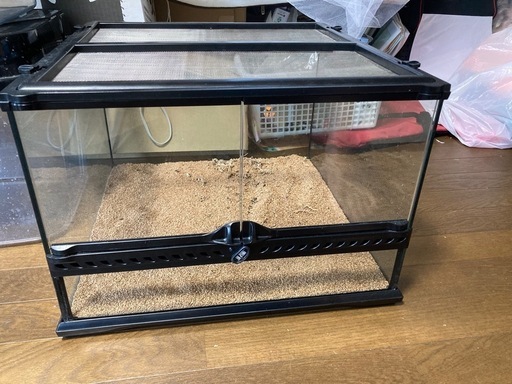 エキゾテラグラステラリウム4530