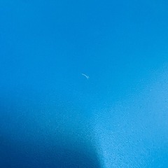 【訳アリ】IKEAサイドテーブルブライトブルーの画像