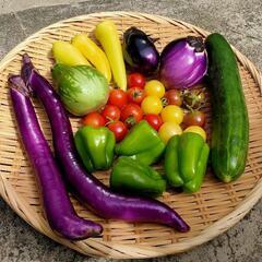 固定種☆自然栽培の野菜☆いろいろ☆農薬等不使用